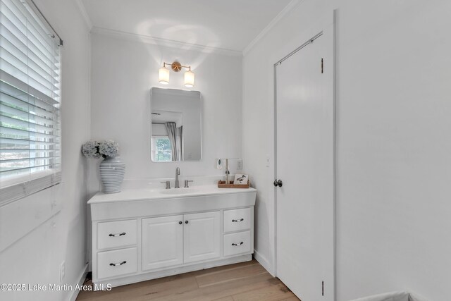 195 Honeysuckle Hl, Tallassee, AL 36078 - bathroom with crown molding, vanity, plenty of natural light, and wood finished floors