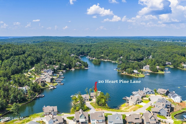 20 Heart Pine Ln, Dadeville, AL 36853 - aerial view of residential area featuring a large body of water