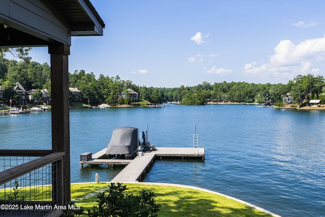 20 Heart Pine Ln, Dadeville, AL 36853 - dock with a water view