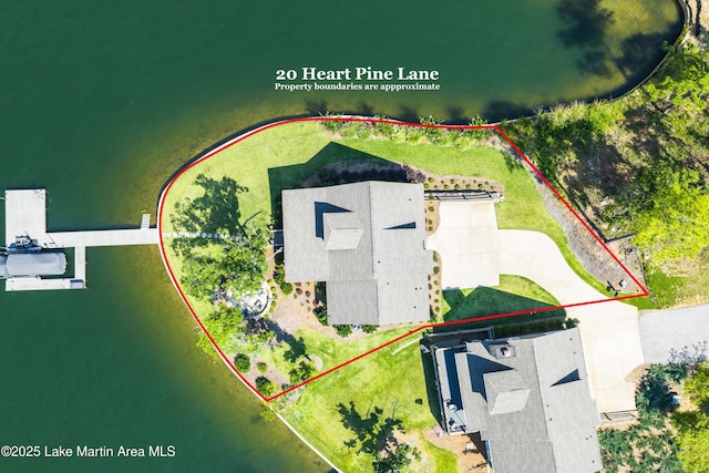 20 Heart Pine Ln, Dadeville, AL 36853 - view of property location with property boundaries highlighted