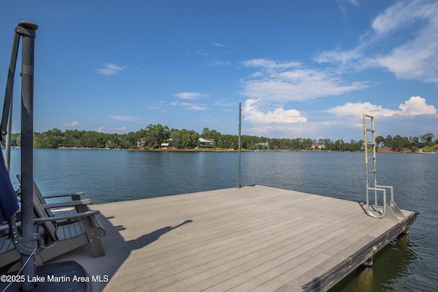20 Heart Pine Ln, Dadeville, AL 36853 - dock featuring a water view