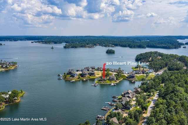 20 Heart Pine Ln, Dadeville, AL 36853 - bird's eye view of a large body of water