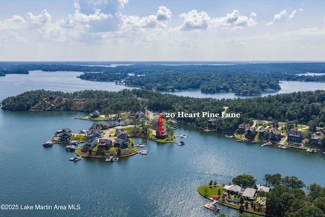 20 Heart Pine Ln, Dadeville, AL 36853 - bird's eye view of a large body of water