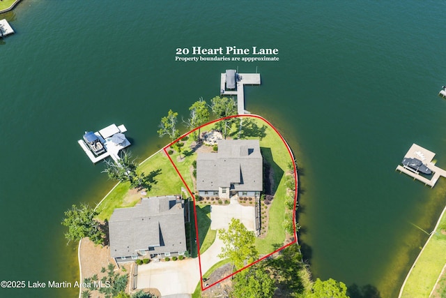 20 Heart Pine Ln, Dadeville, AL 36853 - view of property location with property boundaries highlighted and a large body of water