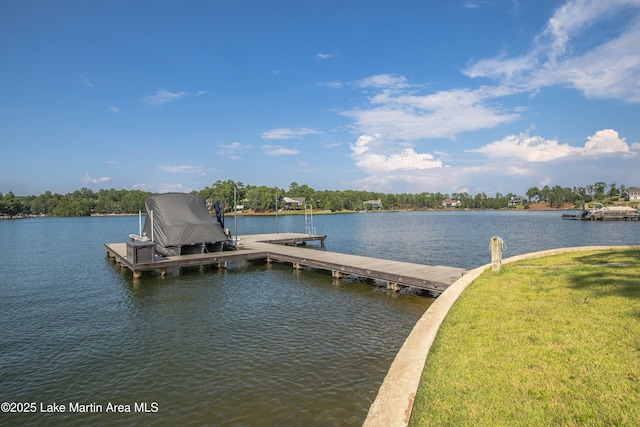20 Heart Pine Ln, Dadeville, AL 36853 - dock with a water view