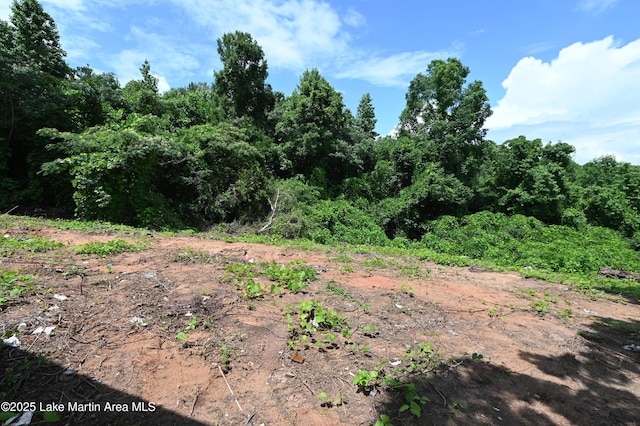 382 Daniel Rd, Kellyton, AL 35089 - view of undeveloped land