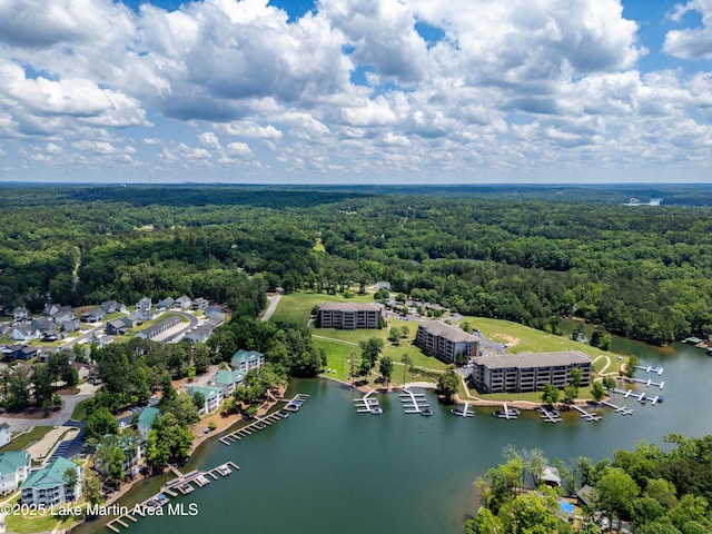48 Stoneview Summit Ct Unit 2401, Dadeville, AL 36853 - bird's eye view of a heavily wooded area and a nearby body of water