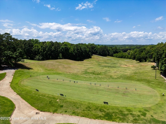 48 Stoneview Summit Ct Unit 2401, Dadeville, AL 36853 - view of home's community featuring view of golf course