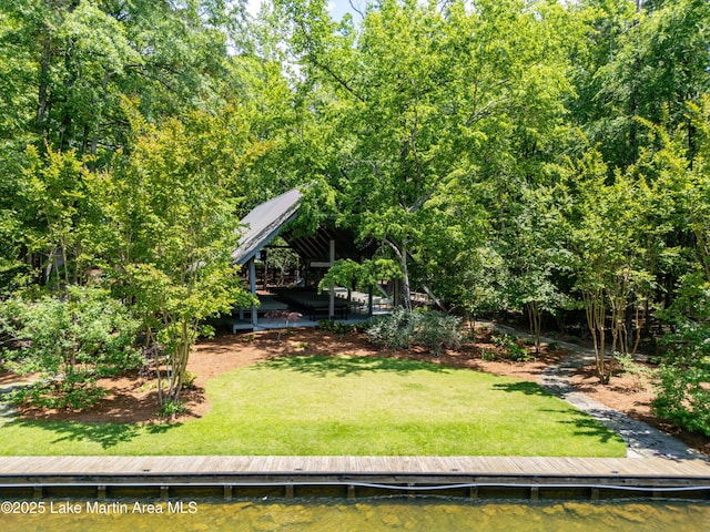 48 Stoneview Summit Ct Unit 2401, Dadeville, AL 36853 - view of grassy yard featuring a dock