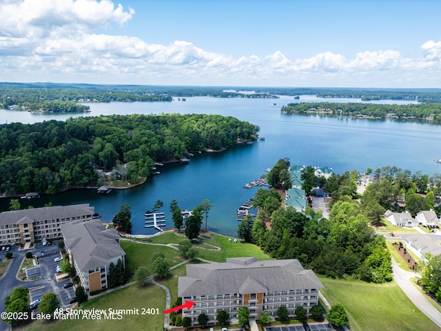 48 Stoneview Summit Ct Unit 2401, Dadeville, AL 36853 - bird's eye view of a large body of water