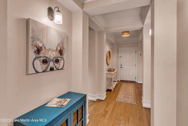 48 Stoneview Summit Ct Unit 2401, Dadeville, AL 36853 - hall with light wood-type flooring, ornamental molding, and baseboards