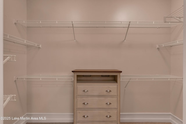 48 Stoneview Summit Ct Unit 2401, Dadeville, AL 36853 - view of spacious closet