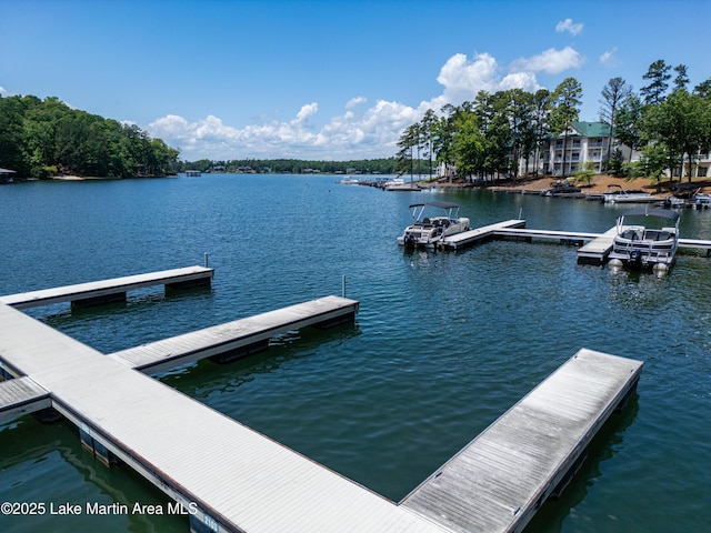 48 Stoneview Summit Ct Unit 2401, Dadeville, AL 36853 - dock area with a water view