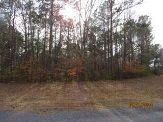 24A Larkspur Ln, Jacksons Gap AL, 36861 land for sale