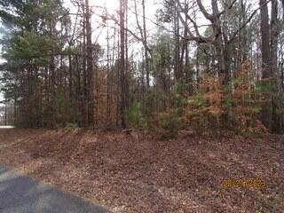 Listing photo 3 for 24A Larkspur Ln, Jacksons Gap AL 36861