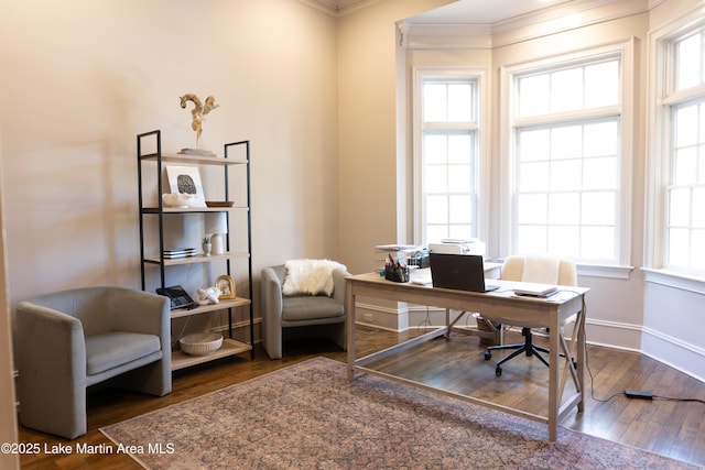 office space featuring ornamental molding, wood finished floors, and a wealth of natural light