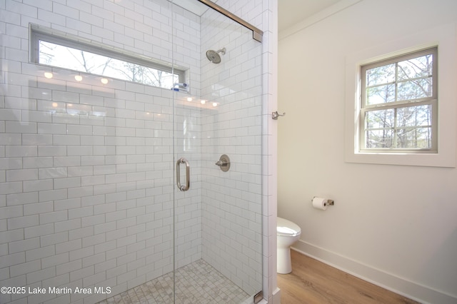 bathroom with toilet, wood finished floors, a stall shower, and a healthy amount of sunlight