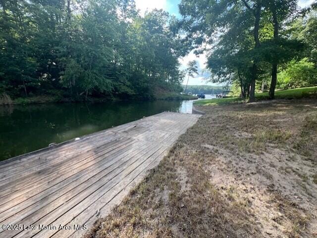 411 Columbine Dr, Jacksons Gap, AL 36861 - photo 8