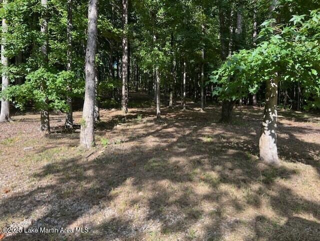 411 Columbine Dr, Jacksons Gap, AL 36861 - photo 7