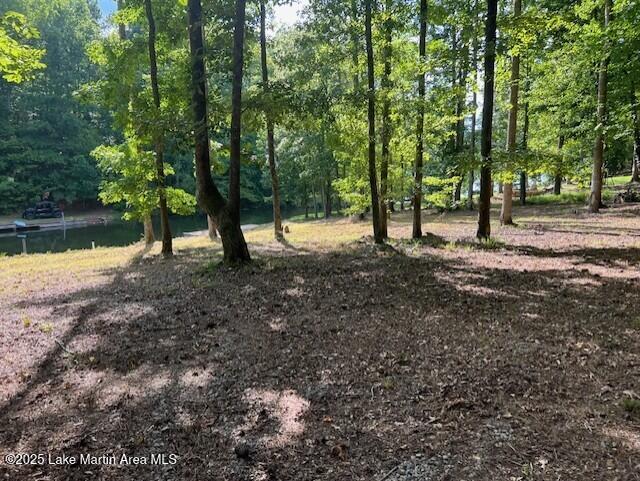 411 Columbine Dr, Jacksons Gap, AL 36861 - photo 9