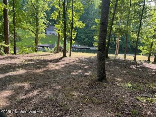 411 Columbine Dr, Jacksons Gap, AL 36861 - photo 5