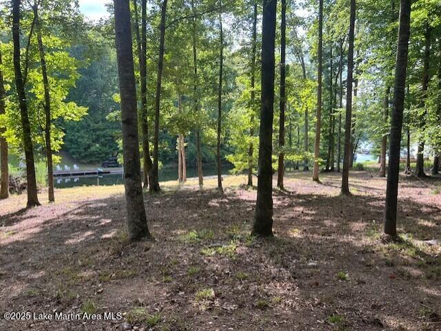 411 Columbine Dr, Jacksons Gap, AL 36861 - photo 4