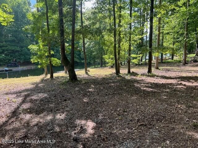 411 Columbine Dr, Jacksons Gap, AL 36861 - photo 6