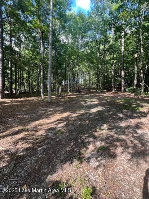 411 Columbine Dr, Jacksons Gap, AL 36861 - photo 12