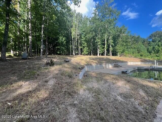 411 Columbine Dr, Jacksons Gap, AL 36861 - photo 10