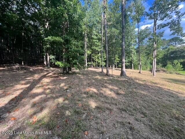 411 Columbine Dr, Jacksons Gap, AL 36861 - photo 11