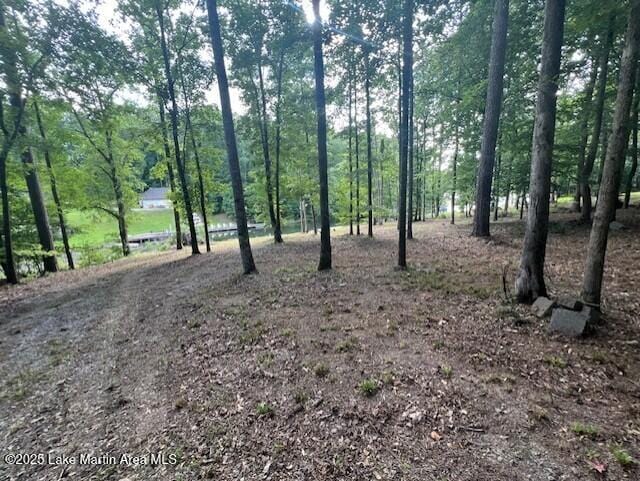 411 Columbine Dr, Jacksons Gap, AL 36861 - photo 13