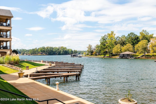 370 Marina Point Rd Unit E104, Dadeville, AL 36853 - photo 59