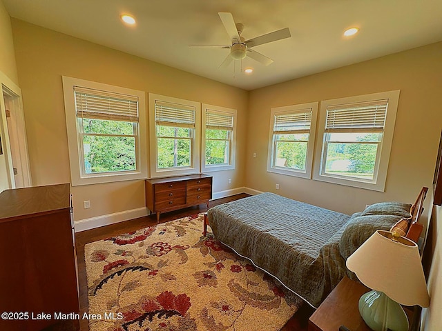 572 Newman Rd, Alexander City, AL 35010 - bedroom with recessed lighting, wood finished floors, and a ceiling fan