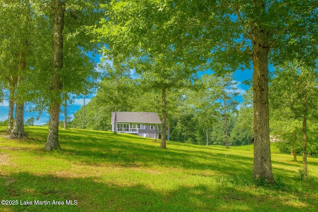 572 Newman Rd, Alexander City, AL 35010 - view of grassy yard