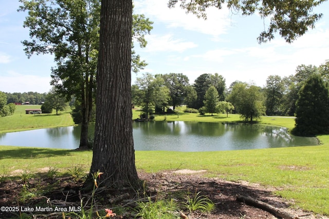 572 Newman Rd, Alexander City, AL 35010 - water view