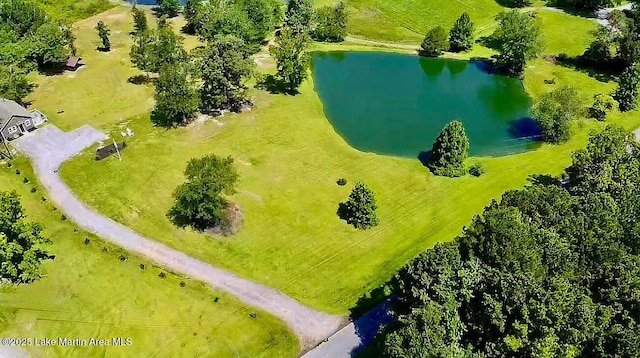 572 Newman Rd, Alexander City, AL 35010 - bird's eye view of a nearby body of water