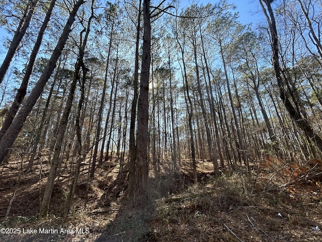 Listing photo 2 for LOT3 N Forty, Alexander City AL 35010