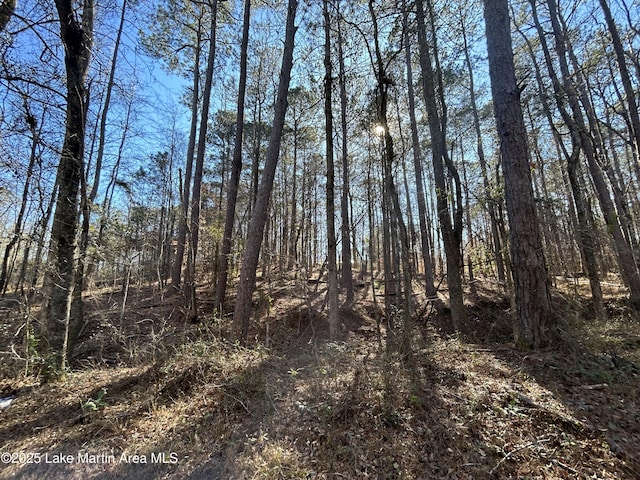 LOT3 N Forty, Alexander City AL, 35010 land for sale