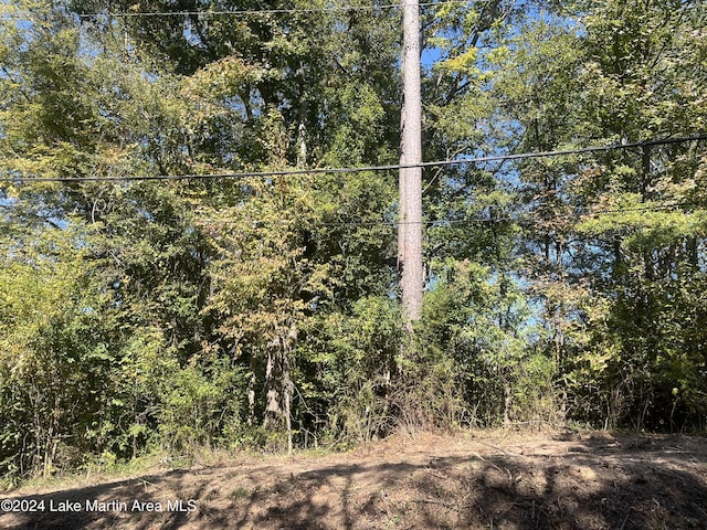 Listing photo 3 for Ridge Rd, Alexander City AL 35010