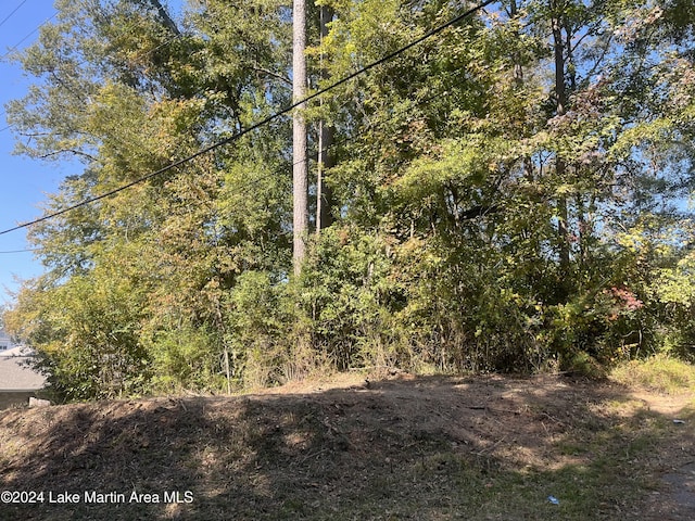 Ridge Rd, Alexander City AL, 35010 land for sale