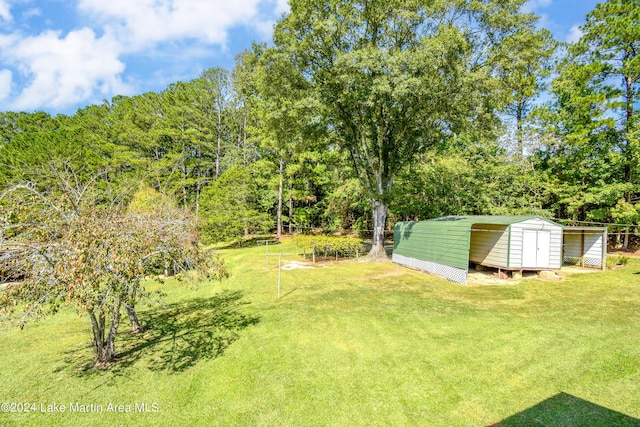 view of yard with a storage shed