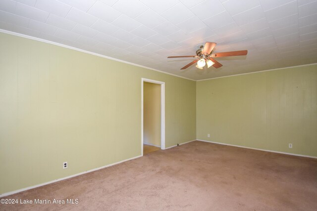 carpeted empty room with crown molding