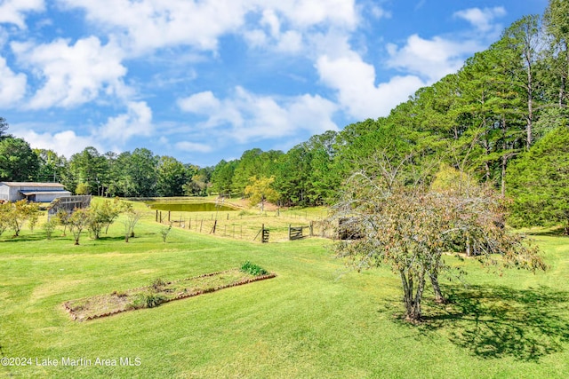 view of yard with a rural view