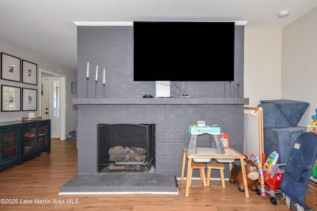 living room featuring hardwood / wood-style floors and a fireplace