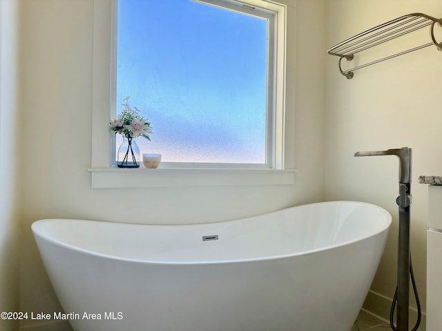 bathroom featuring a washtub