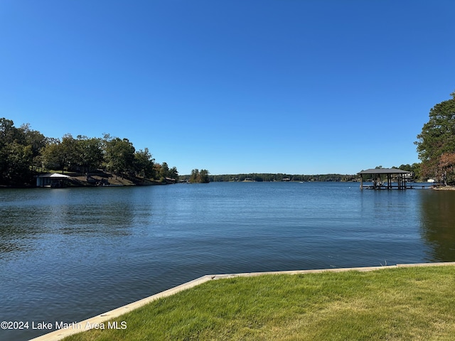 property view of water