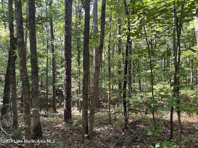 LOT91 Tall Pine Pl, Dadeville AL, 36853 land for sale