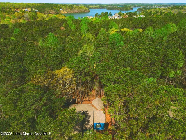 194 Camp Cir, Dadeville, AL 36853 - photo 6