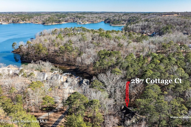 birds eye view of property with a forest view and a water view