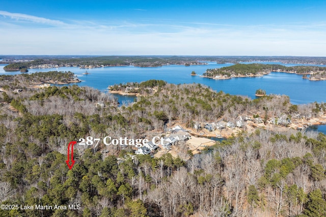 birds eye view of property featuring a water view and a view of trees